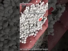 Granulateur à double rouleau de 2 à 10 mm pour l'urée