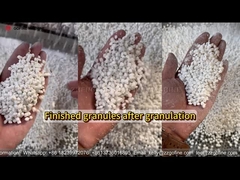 Site d'essai du granulateur d'extrusion de presse à rouleaux de matières premières chimiques