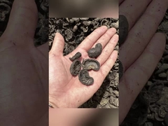 machine de fabrication de granulés à matériau plat